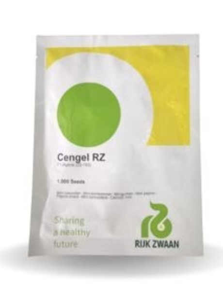 CENGEL RZ F1 (22-193) CUCUMBER