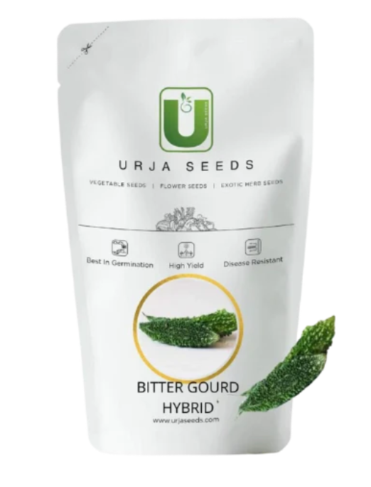 URJA BITTERGOURD PURE GREEN LONG SPECIAL (SEEDS)