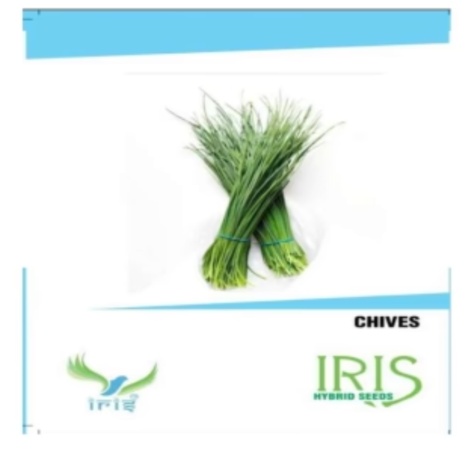 IRIS HERB CHIVES SEEDS