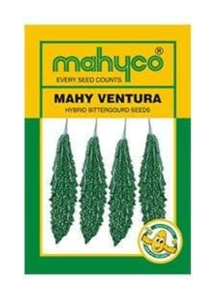VENTURA BITTERGOURD ( वेंचुरा करेला )