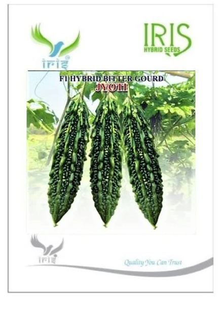 IRIS HYBRID JYOTI BITTER GOURD SEEDS