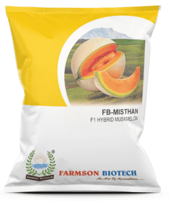 FB MISTHAN F1 HYBRID MUSKMELON SEEDS, GOOD TOLERANCE AGAINST DISEASES & VIRUS