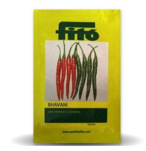 భవానీ మిరప