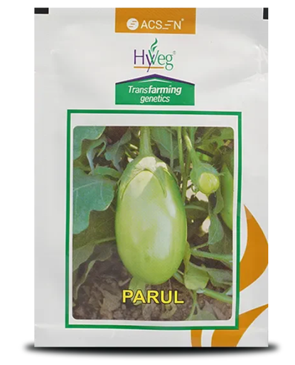 PARUL BRINJAL SEEDS