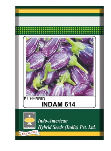 Indam 614 Brinjal Seeds