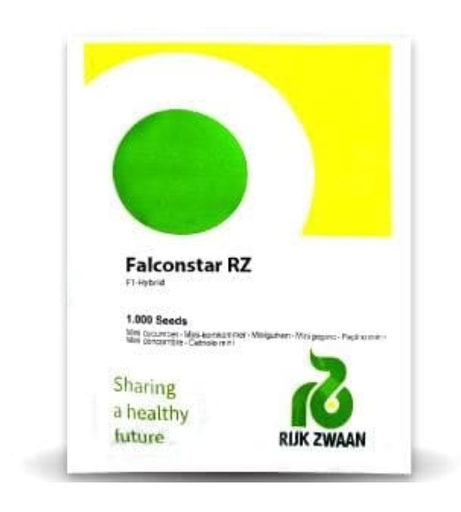 FALCONSTAR RZ F1 CUCUMBER