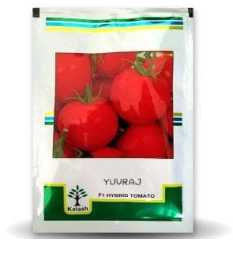 BSS 1006 (YUVRAJ) TOMATO ( युवराज टमाटर )