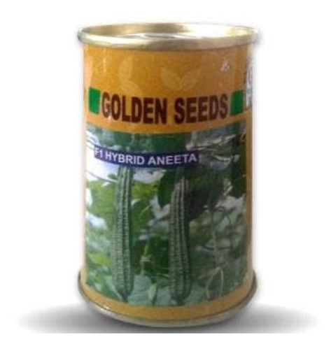 ANEETA RIDGE GOURD