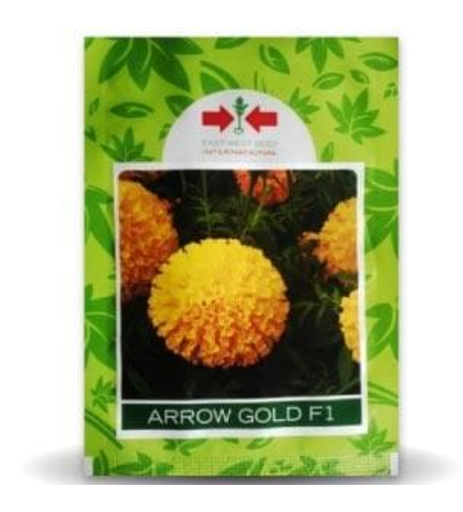 ARROW GOLD MARIGOLD