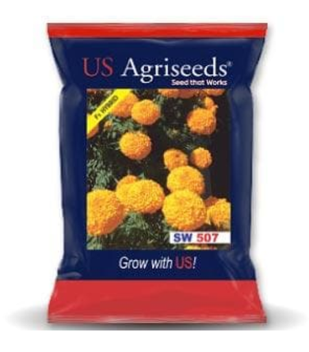 SW 507 MARIGOLD SEEDS