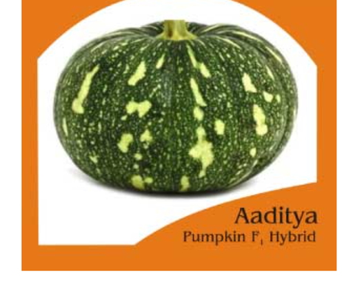 AADITYA PUMPKIN SEEDS
