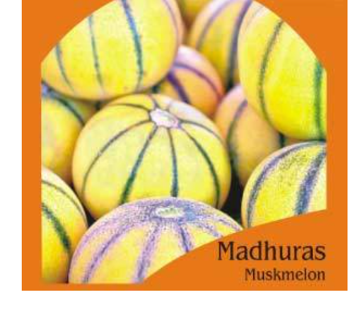 MADHURAS MUSKMELON (OP)