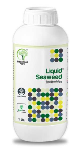 BLOOMFIELD LIQUID SEAWEED