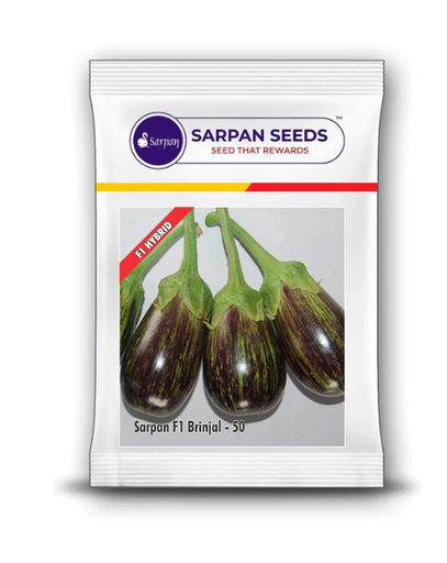 SARPAN F1 BRINJAL-50
