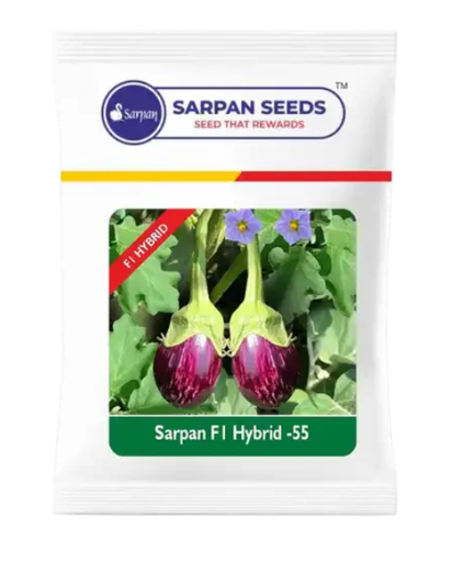 SARPAN F1 BRINJAL-55 (SEEDS)