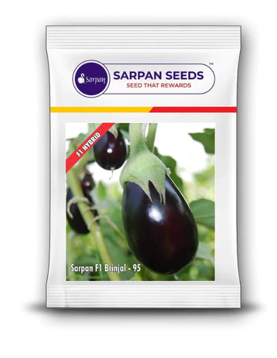 SARPAN HYBRID F1 BRINJAL-95 (SEEDS)