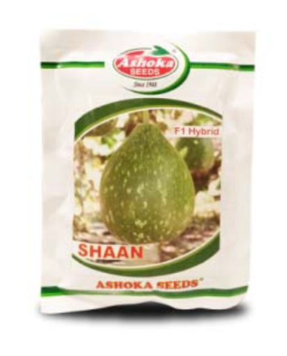 SHAAN BOTTLEGOURD ( शान लौकी )