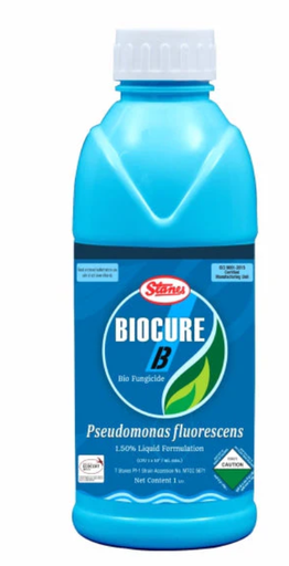 Bio Cure B: Organic Pseudomonas Bio-Stimulant for Crop Health
