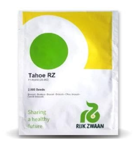 TAHOE RZ F1 BROCCOLI