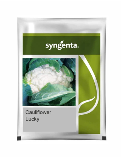SYNGENTA LUCKY CAULIFLOWER