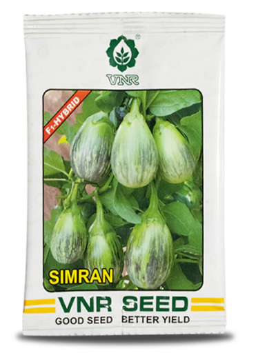 Simran F1 Hybrid Brinjal Seeds – High Yield, Cluster Bearing Variety