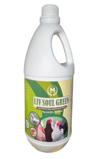 MPGS LIV SOUL GREEN