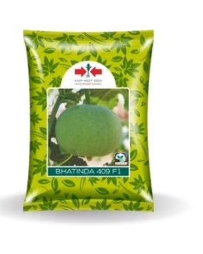 భటిండా 409 F1