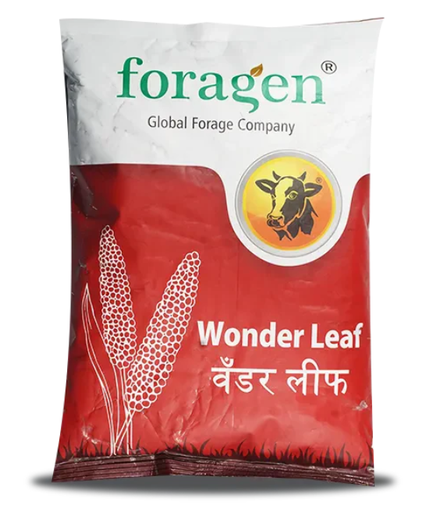 WONDER LEAF (MILLET MULTI-CUT)