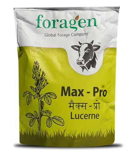 MAX-PRO (LUCERNE) FORAGE