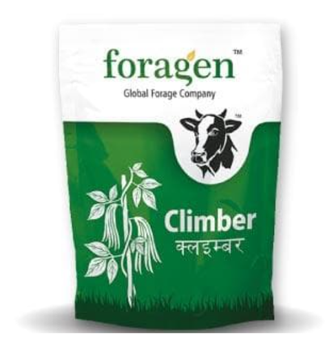 CLIMBER (COWPEA- INDETERMINATE)