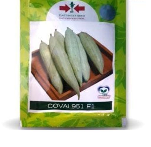 COVAI 951 SNAKE GOURD
