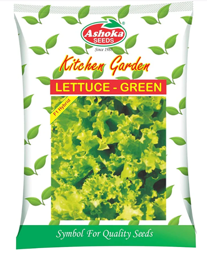 Green Lettuce Seeds – Fast Growing, Disease Resistant, Exotic Variety