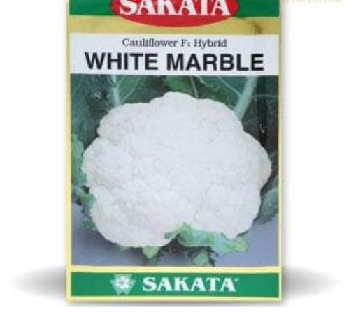 वाइट मार्बल फुलगोभी