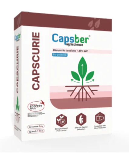 Capsber Capscurie Bio Insecticide