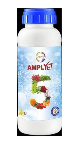 प्रिवी एम्प्ली - 5 ग्रोथ सिम्युलेटर
