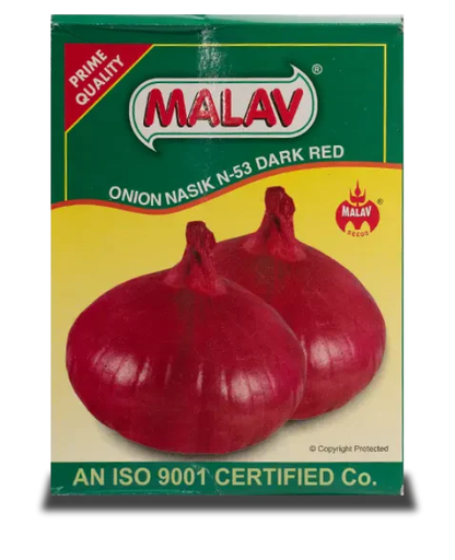 MALAV NASIK RED ONION SEEDS N-53
