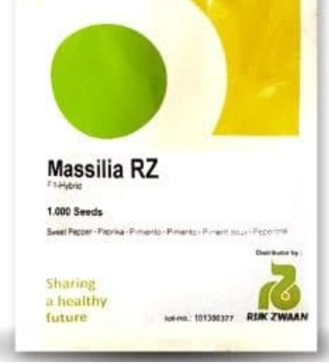 MASSILIA RZ F1 RED CAPSICUM