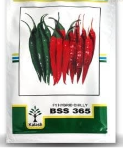 కలాష్ BSS 365 మిరప విత్తనాలు