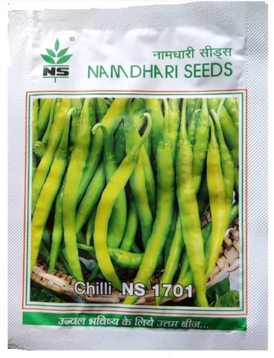 NS 1701 F1 Hybrid LG Chilli Seeds