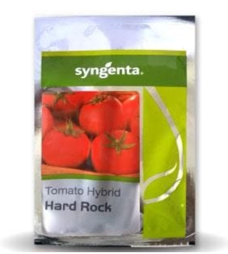 SYNGENTA HARD ROCK TOMATO SEEDS