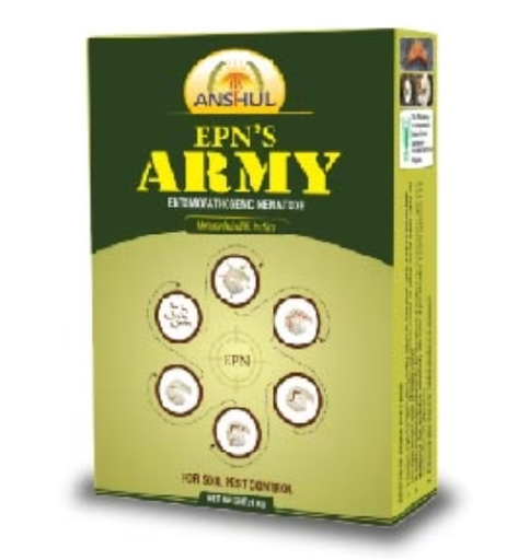 ANSHUL HETERORHABDITIS INDICA EPN'S ARMY (BIO NEMATICIDE FOR ENTOMOPATHOGENIC NEMATODE)