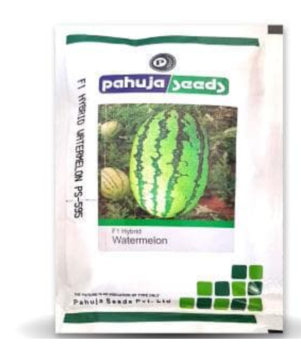 595 పుచ్చకాయ/తర్భుజా