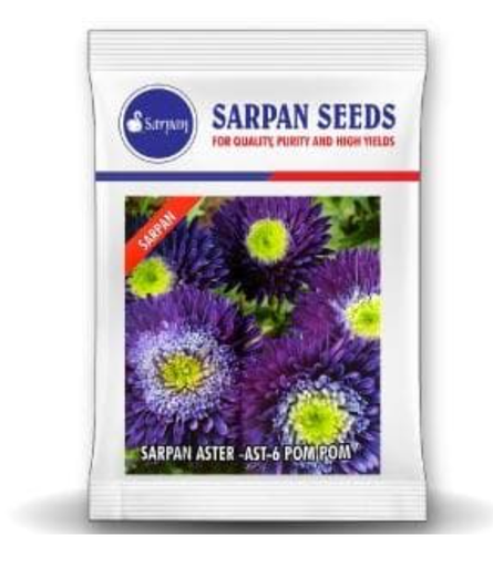 SARPAN HYBRID ASTER - AST-6 POMPOM (SEEDS)