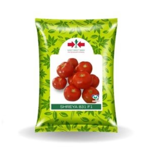 SHREYA 831TSC TOMATO