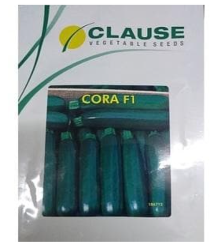 CORA F-1 GREEN ZUCCHINI