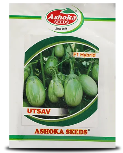 उत्सव बैंगन