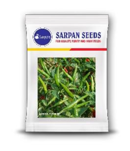 SARPAN AVINASH CHILLI (SEEDS)