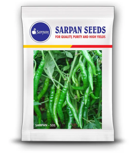 SARPAN 531 CHILLI (SEEDS)