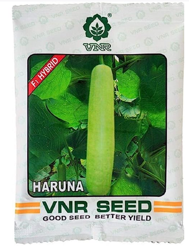 Haruna F1 Hybrid Bottle Gourd Seeds – Early, High-Yield, Parrot Green Fruits