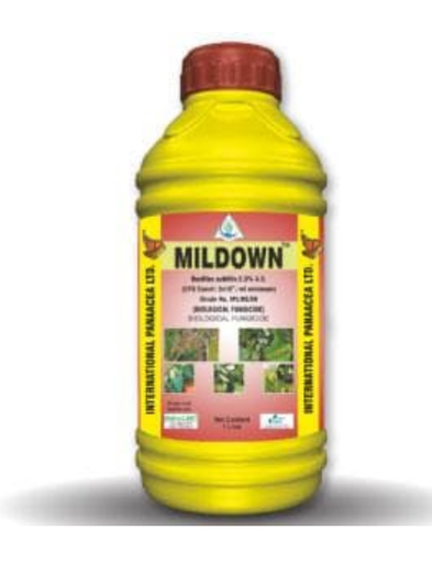 MILDOWN (BACILLUS SUBTILIS) BIO FUNGICIDE